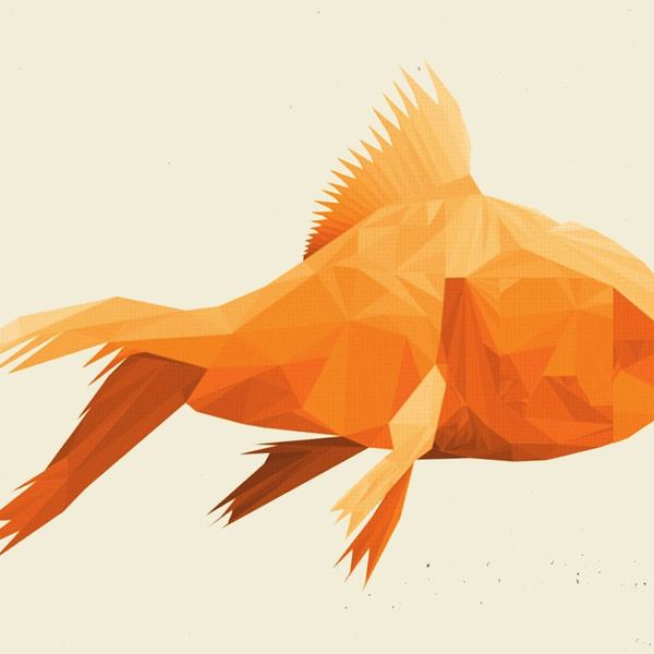 Goldfish