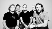 Cover image for Gin Blossoms
