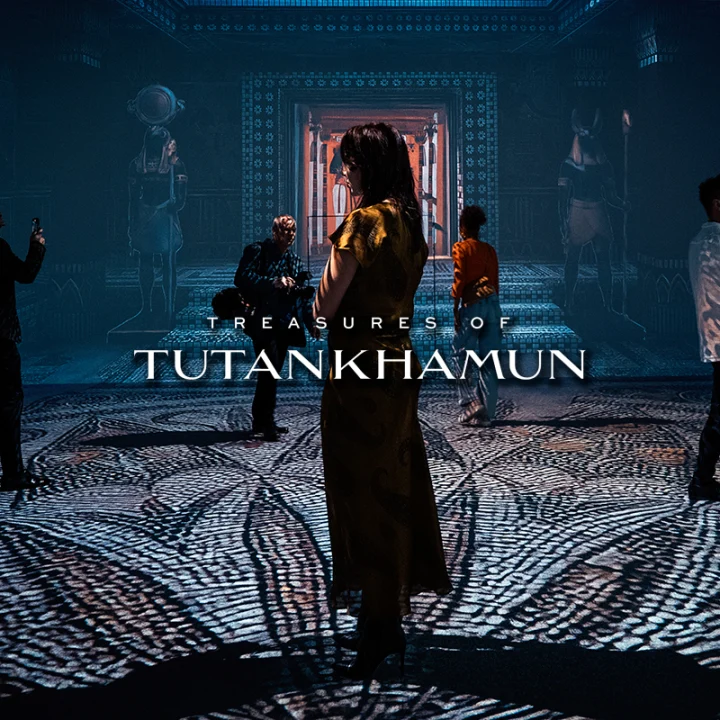 Cover image for Treasures of Tutankhamun