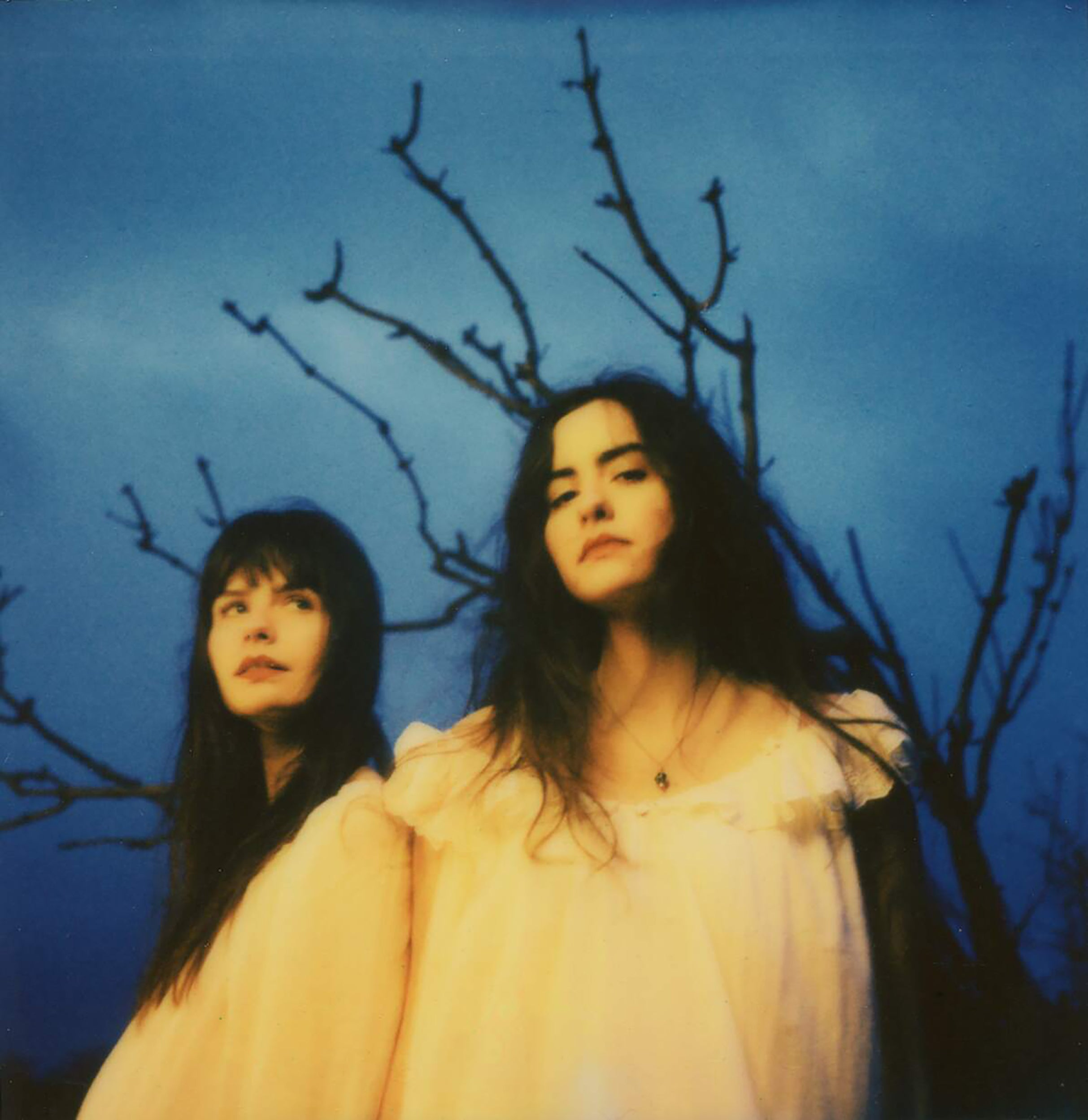 Cover image for Sarah Julia