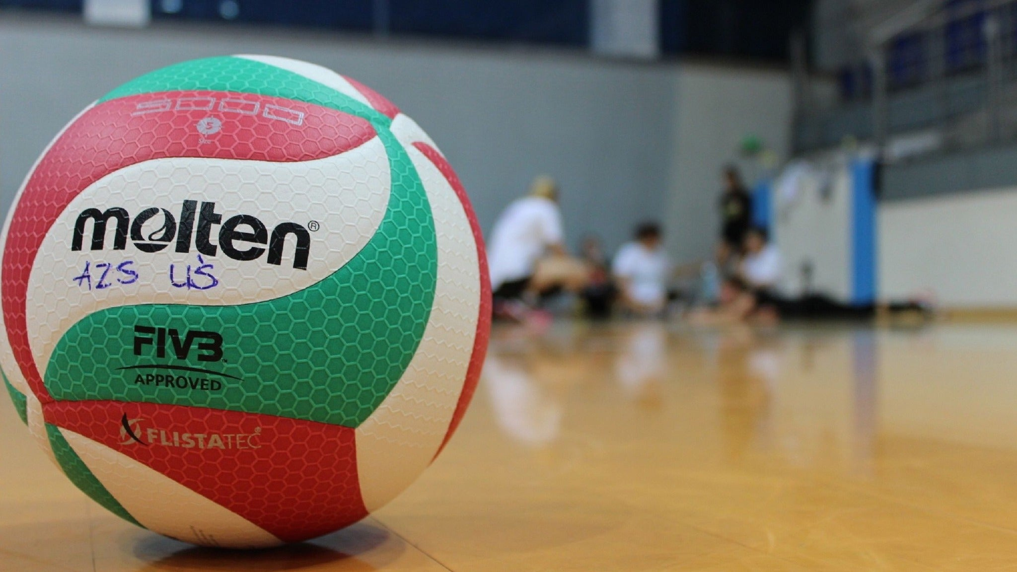 Cover image for TMU Bold vs Windsor (Men's & Women's Volleyball)