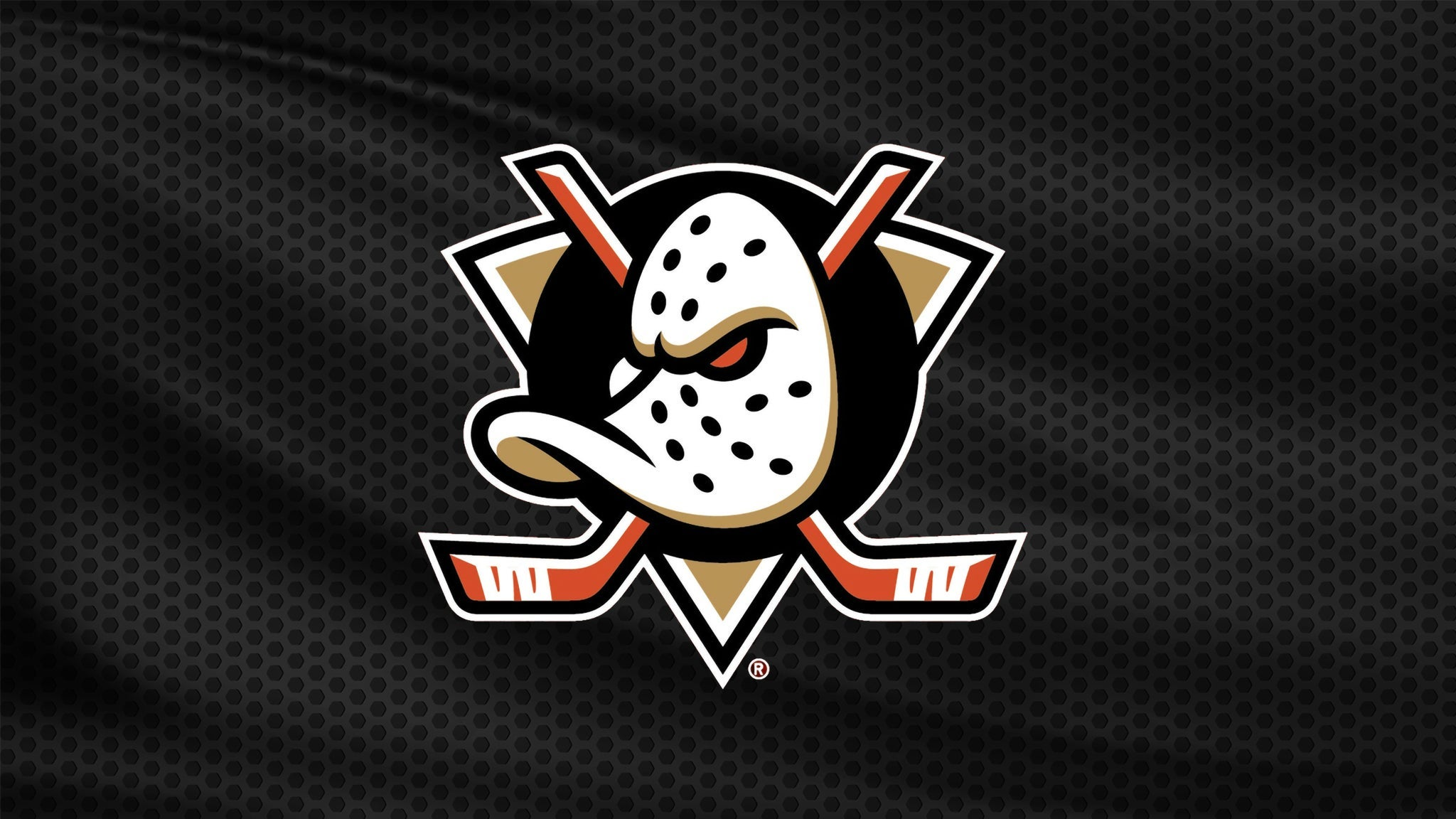 Cover image for Anaheim Ducks vs. Florida Panthers
