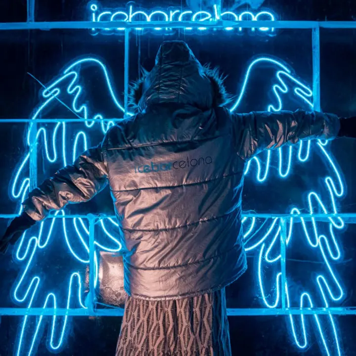 Cover image for ï»¿Ice Bar Barcelona: a drink at the North Pole!