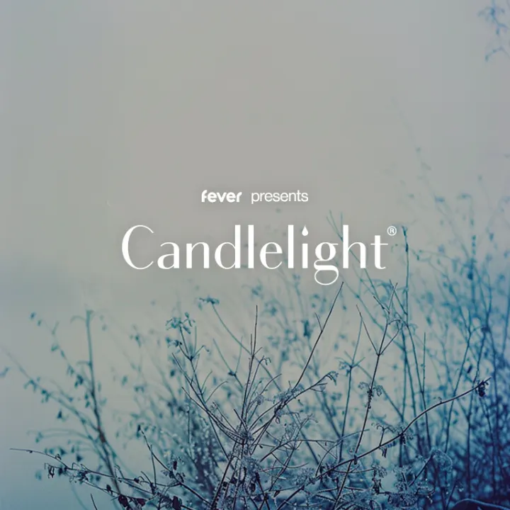 Cover image for Candlelight: The Best of Ludovico Einaudi