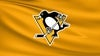 Cover image for Colorado Avalanche vs. Pittsburgh Penguins
