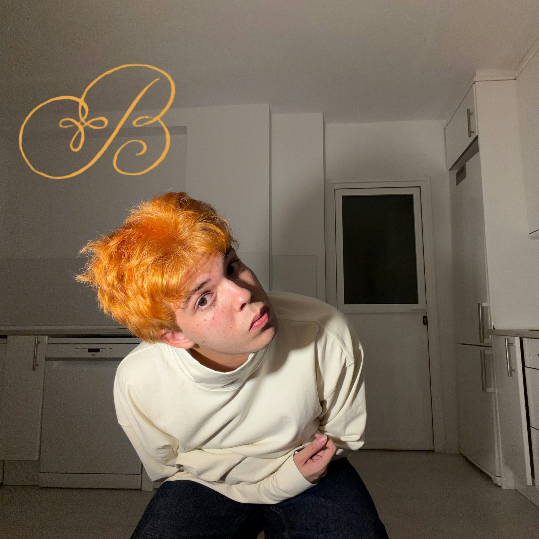 Cover image for Bosco Herrero