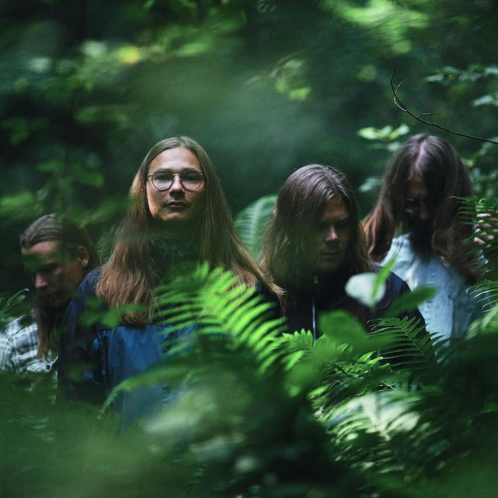 Cover image for Skraeckoedlan