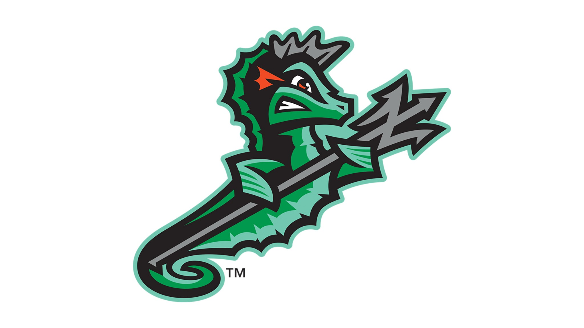Cover image for Norfolk Tides vs. Lehigh Valley IronPigs
