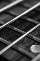 Haarlem Roots House: The Hi-Stakes
