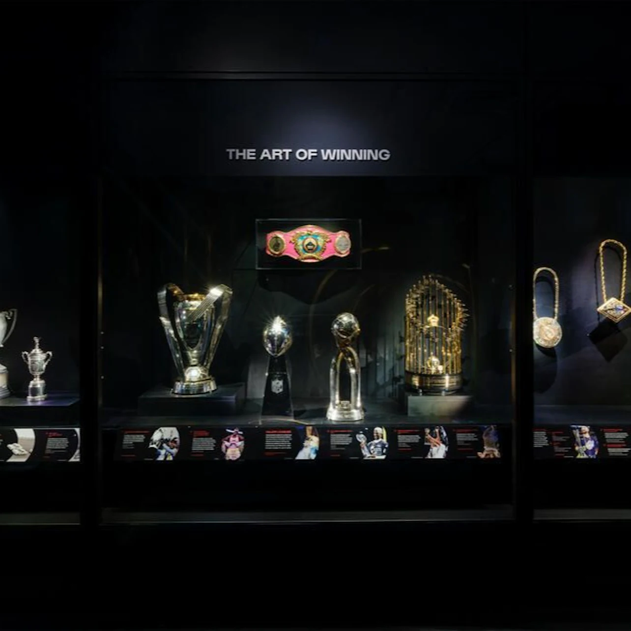 Cover image for For the Win: Objects of Sports Excellence