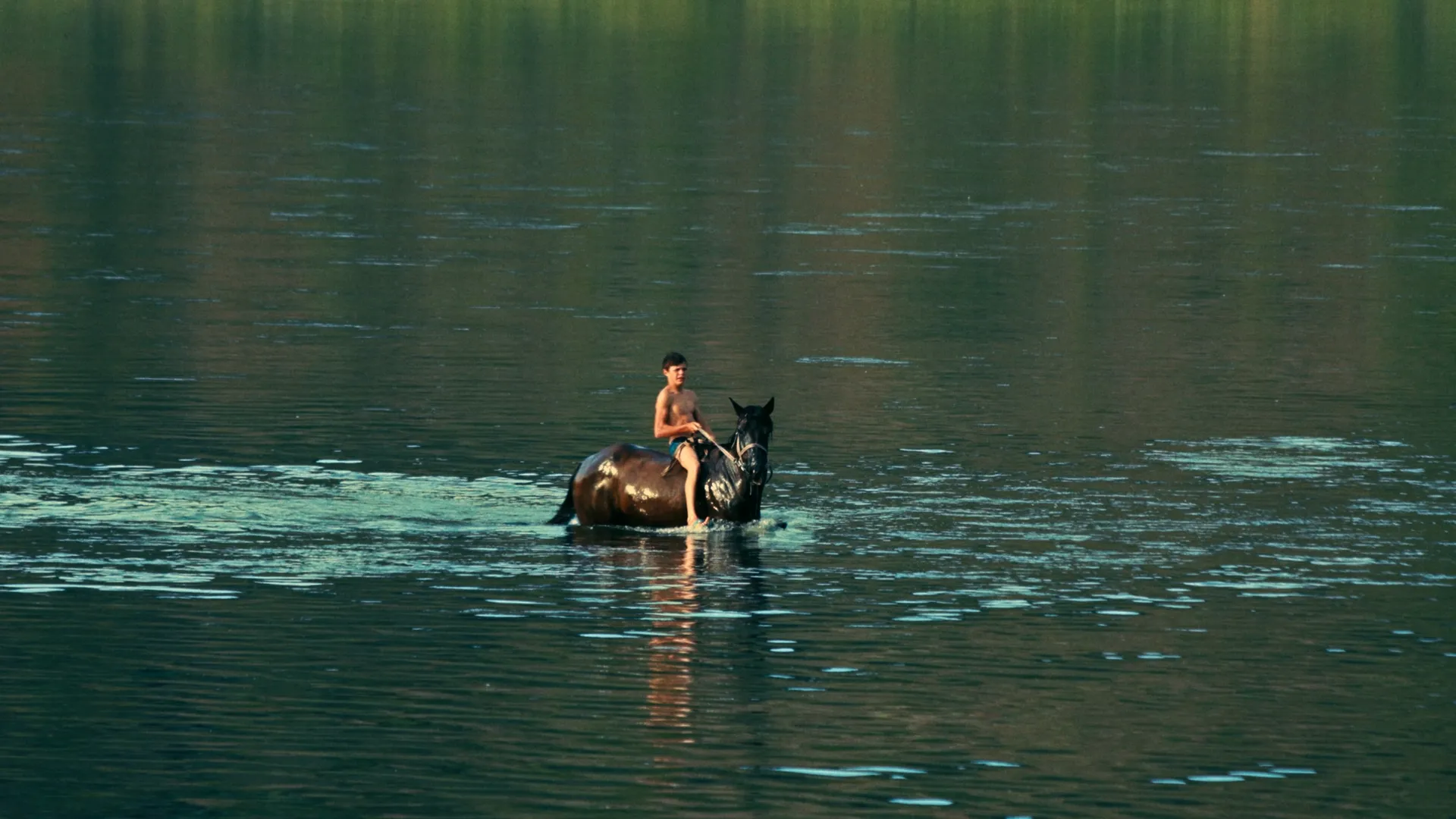 Cover image for Silent Flood