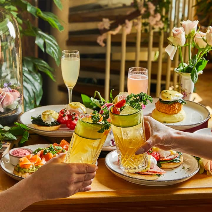 Cover image for Mr Fogg's Botanical Brunch