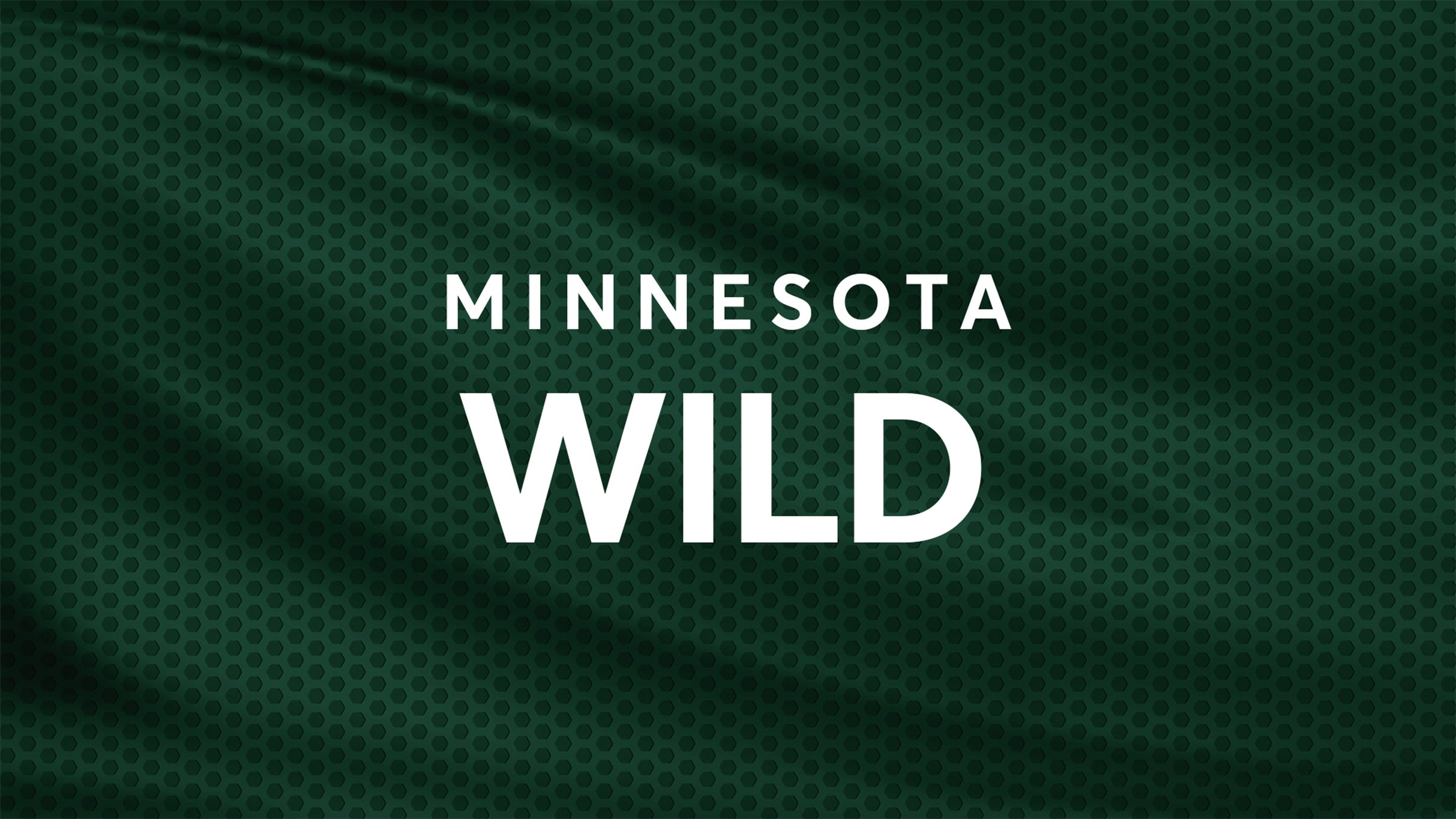 Cover image for Winnipeg Jets vs. Minnesota Wild