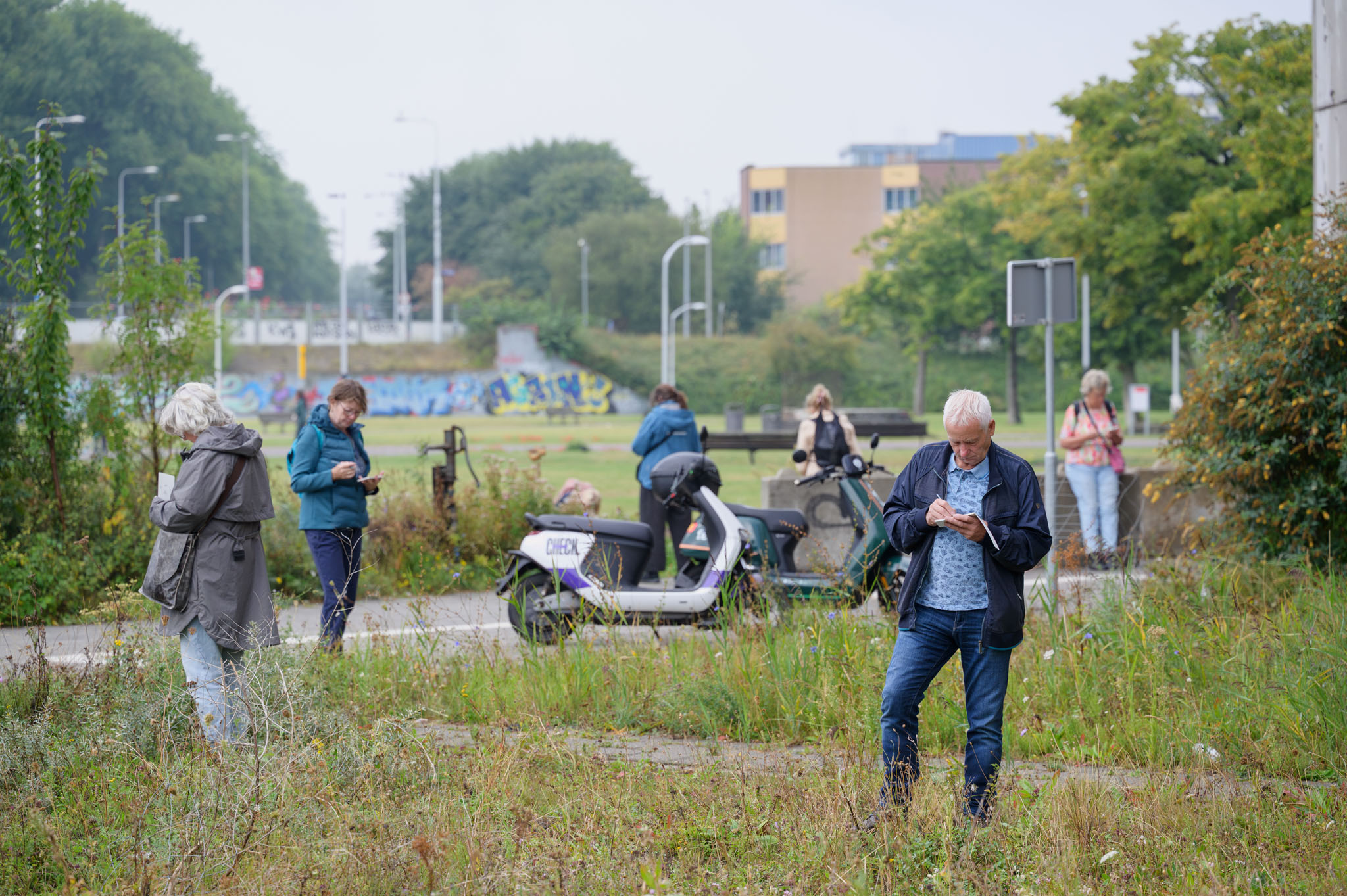 Cover image for Tekenwandeling