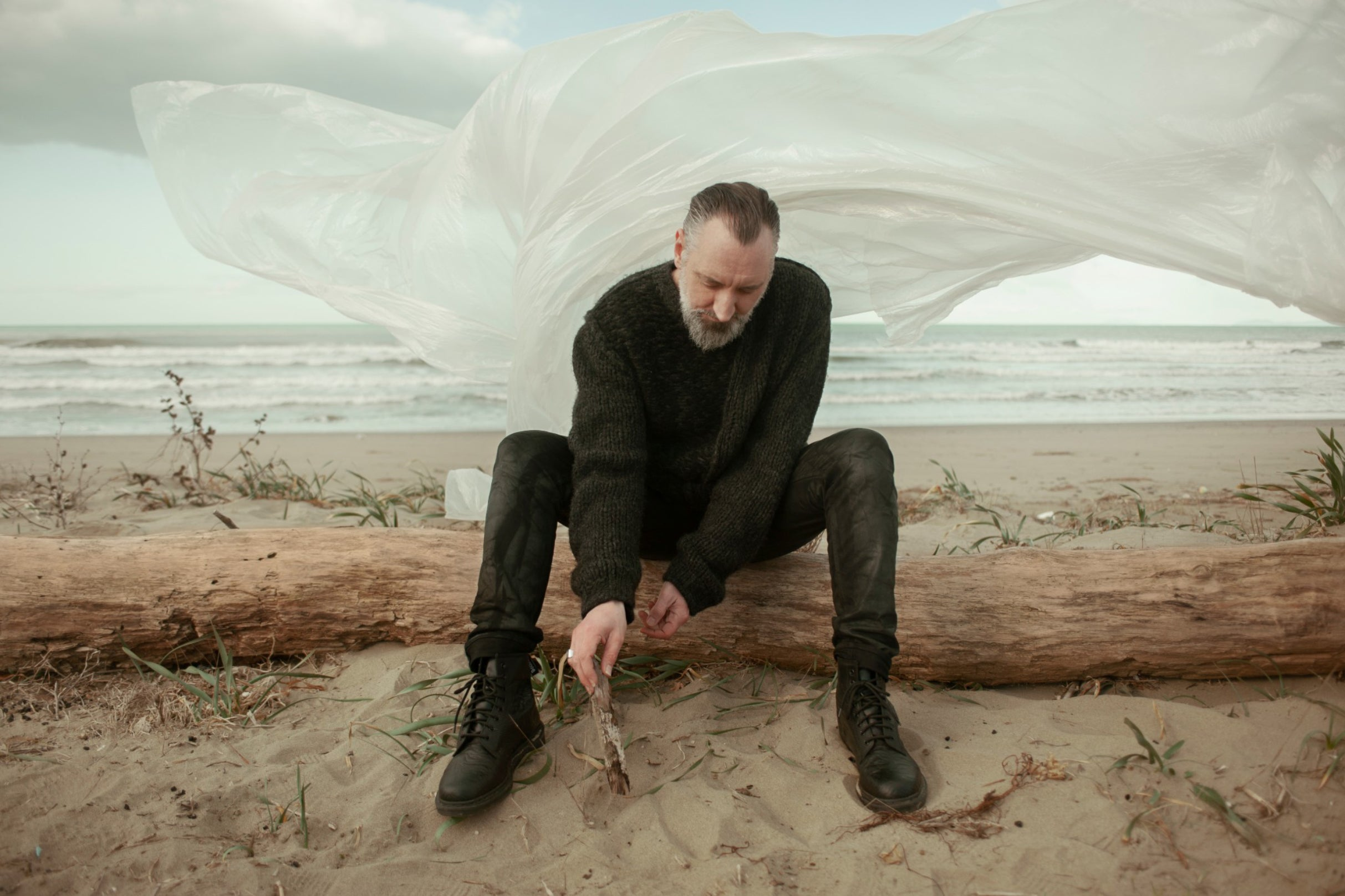 Cover image for Fink