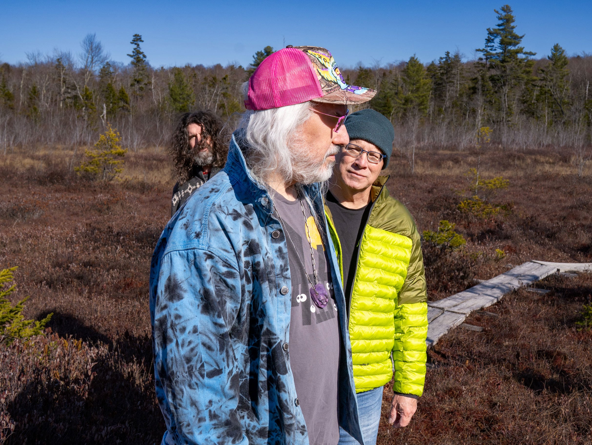 Cover image for Dinosaur Jr.