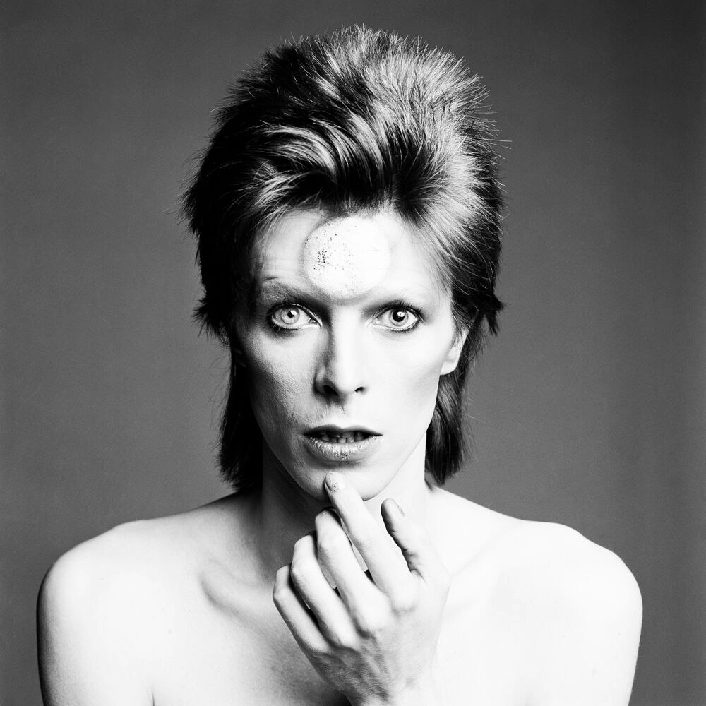 Cover image for The Rise and Fall of Ziggy Stardust