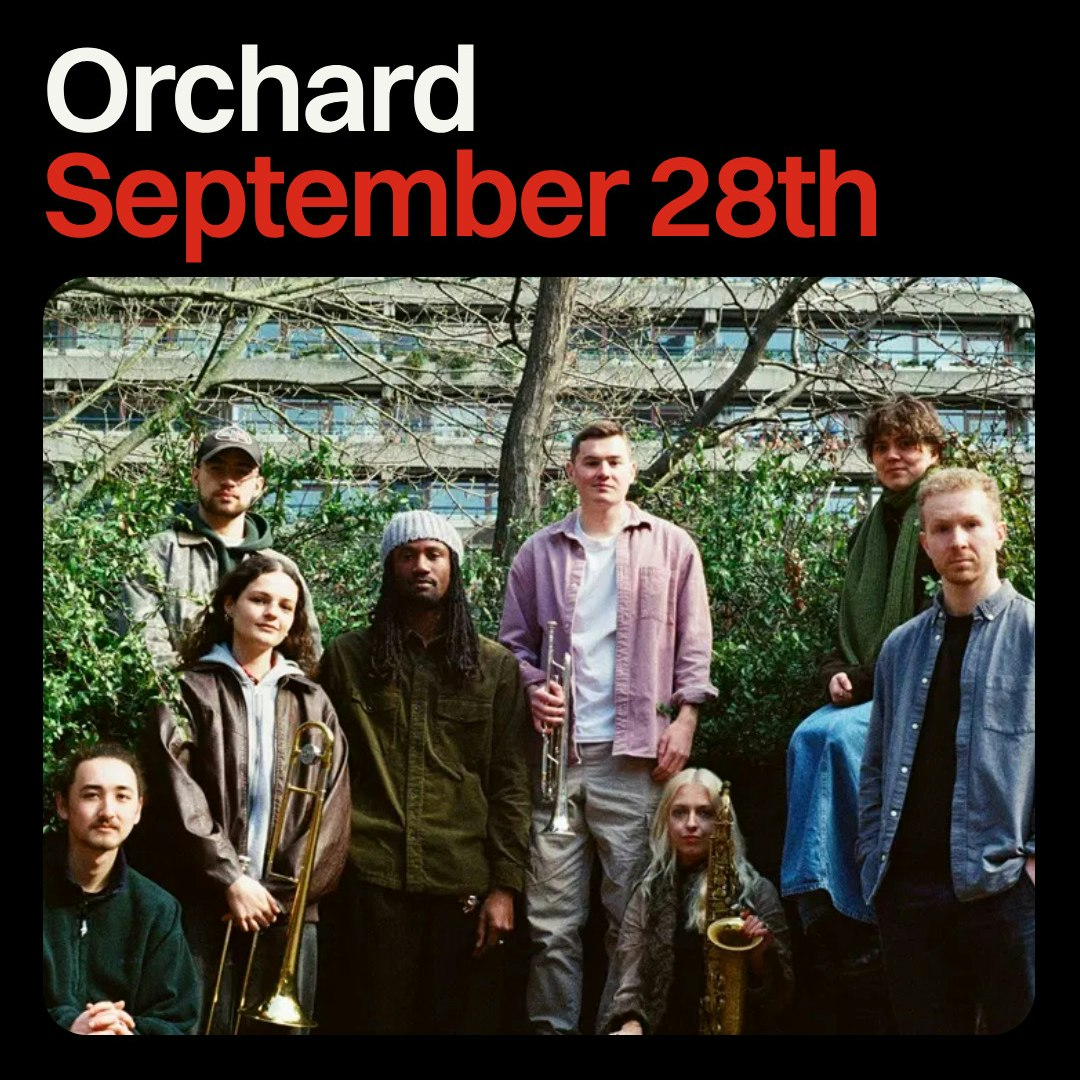 Cover image for Orchard
