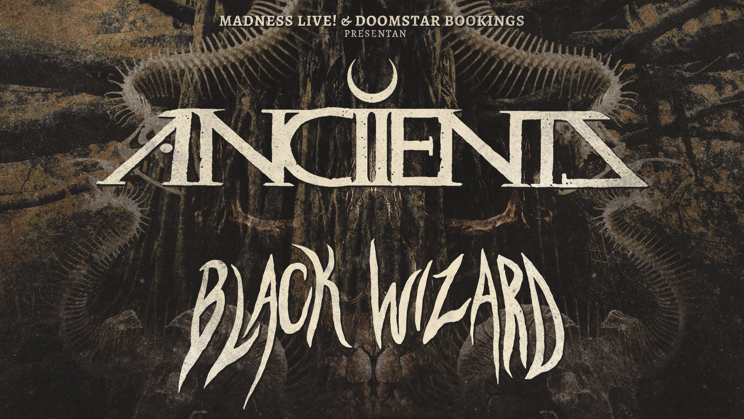 Cover image for Anciients