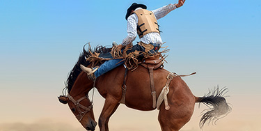 Cover image for Houston Livestock Show And Rodeo