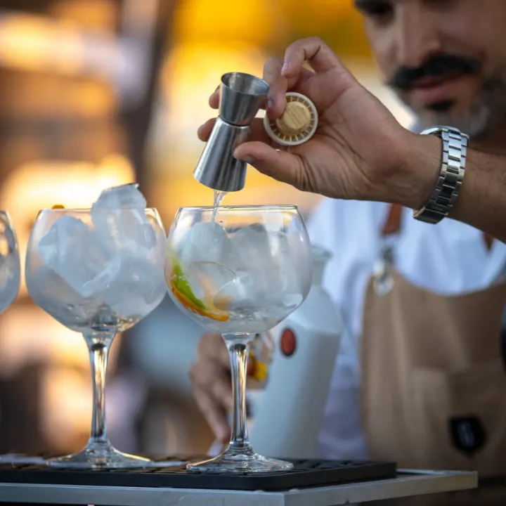 Cover image for Gin Lovers Experience at the Hyatt Regency Lisboa