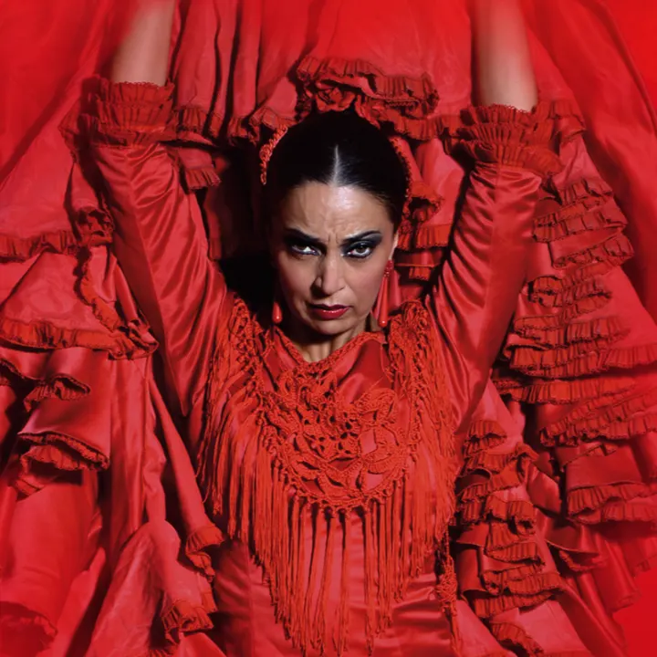 Cover image for ï»¿Inspiration - Flamenco show at Teatro Flamenco Barcelona
