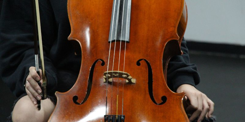 Cover image for Violoncelo - Iniciantes