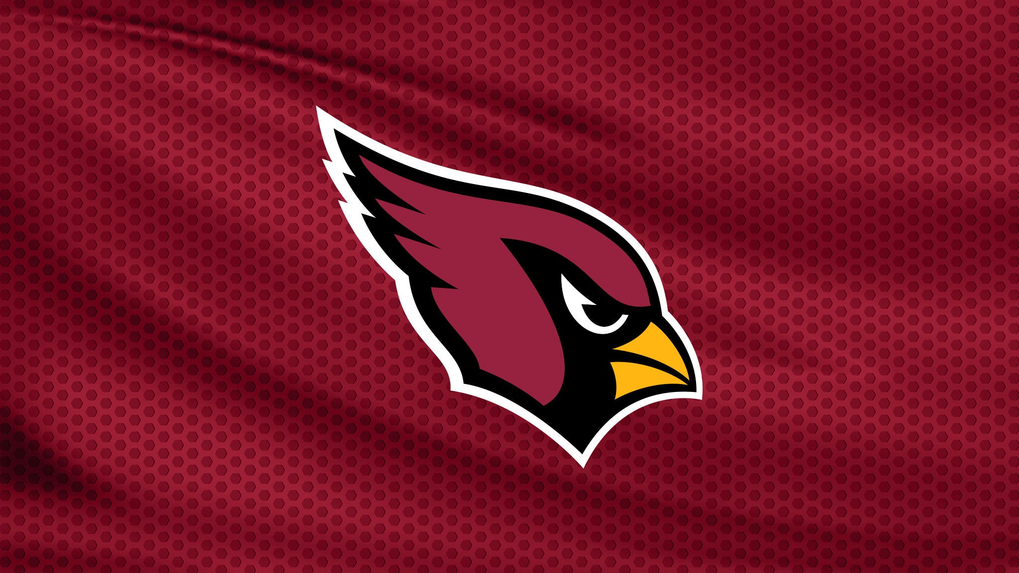 Cover image for Arizona Cardinals vs. Denver Broncos
