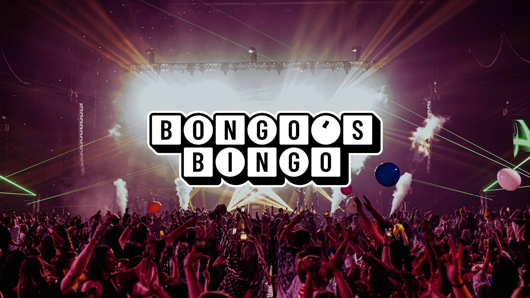 Cover image for Bongo's Bingo