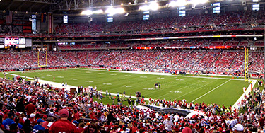 Cover image for Arizona Cardinals