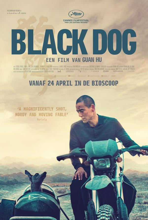 Black Dog