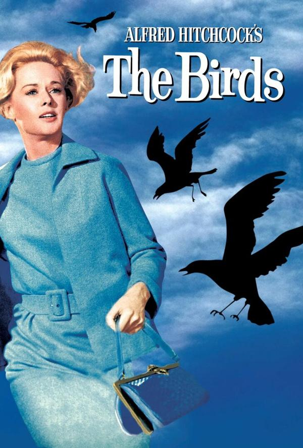 The Birds